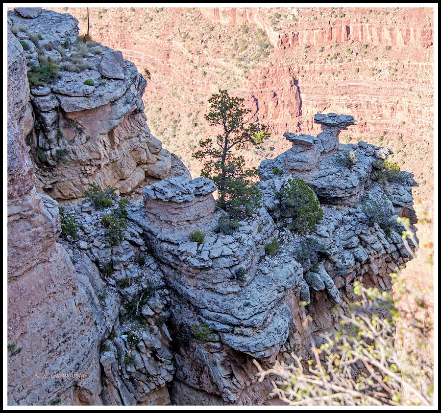 Grand Canyon Cliff Wall, Arizona Photograph by A Macarthur Gurmankin
