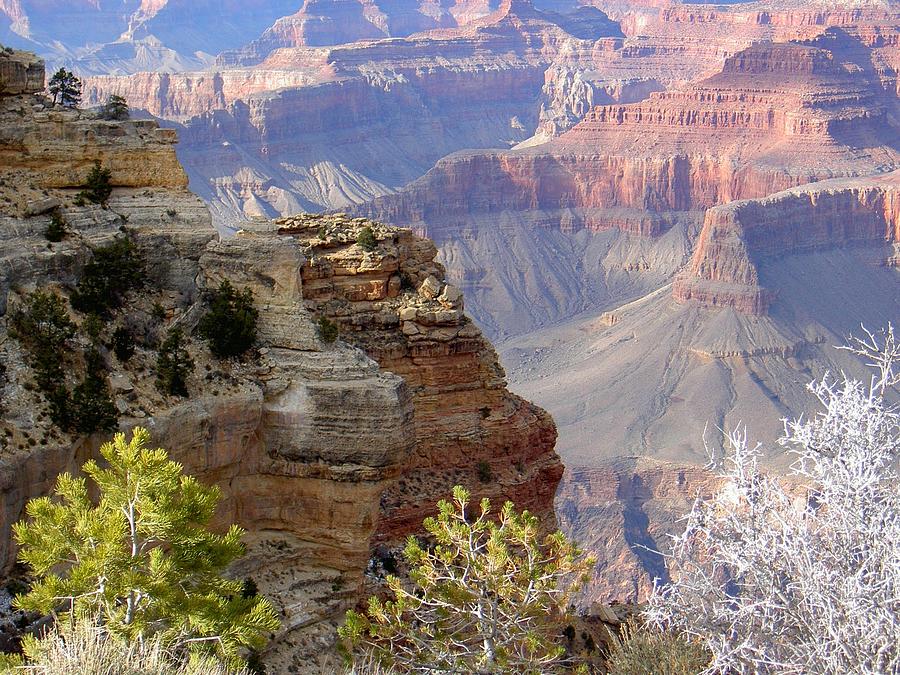 Grand Canyon Cliffs Photograph by Carolyn Jacob