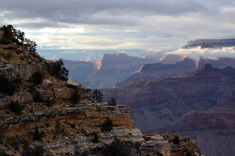 Grand Canyon National Park Photograph by Colleen Phaedra