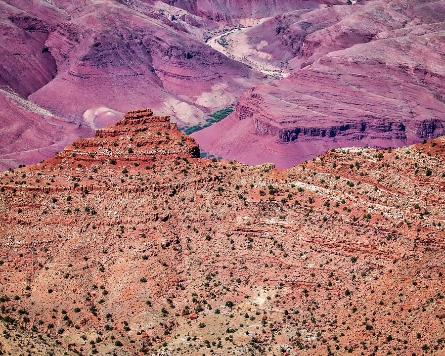 Grand Canyon Colors Photograph by Joe Myeress
