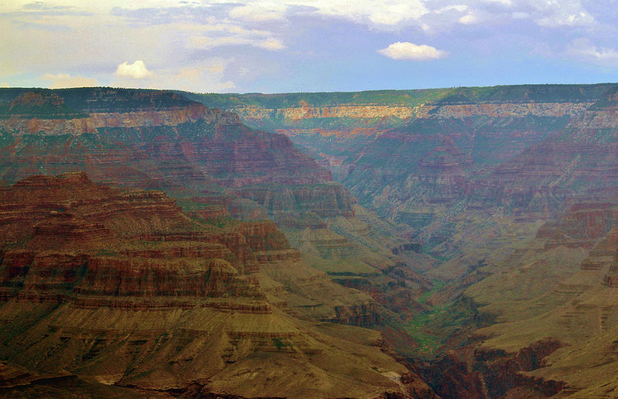 Grand Canyon Photograph by Cynthia Guinn
