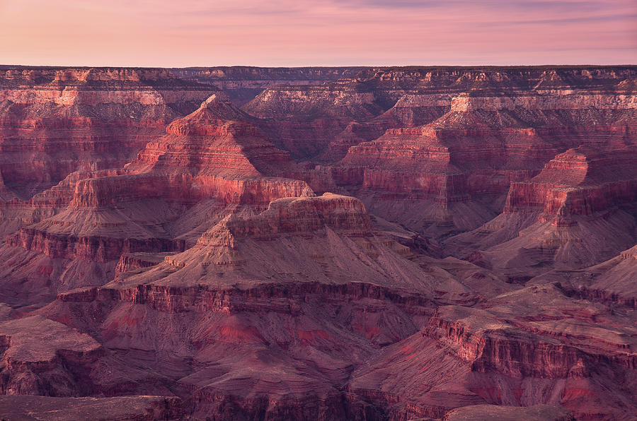 Grand Canyon Dusk 2 Photograph by Greg Nyquist