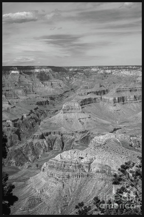 Grand Canyon Expanse Photograph by Steven Parker