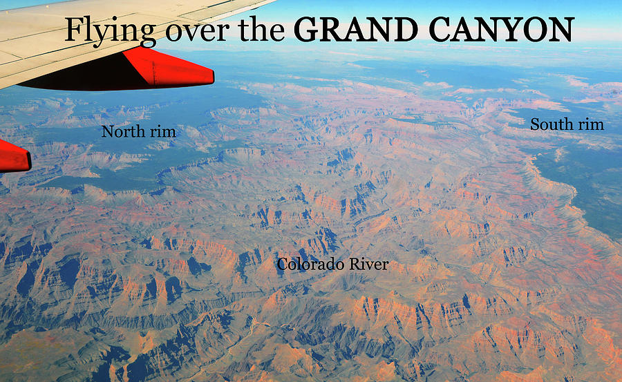 Grand Canyon flight Photograph by David Lee Thompson
