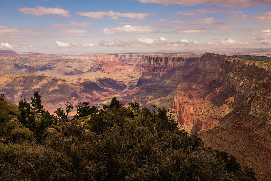 Grand Canyon from South Rim Photograph by Frank DiMarco