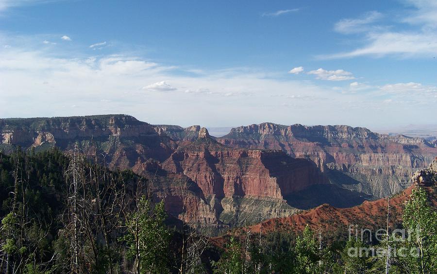 Grand Canyon from Vista Encantada Photograph by Charles Robinson