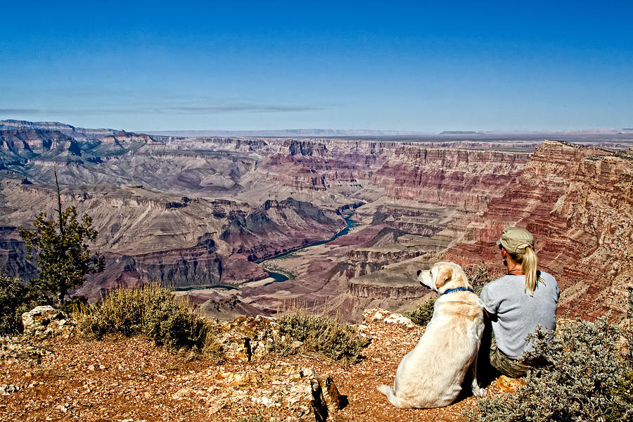Grand Canyon Girl and Dog Photograph by Waterdancer