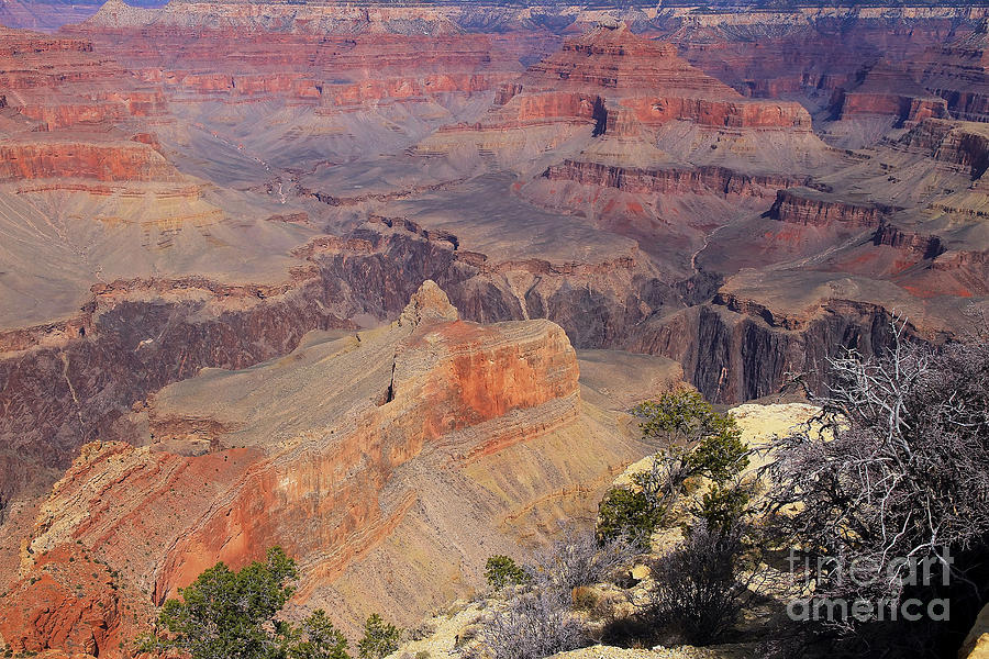 Grand Canyon National Park Photograph - Grand Canyon I by Teresa Zieba