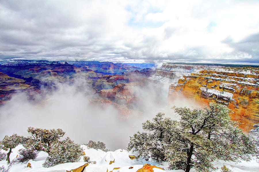 Grand Canyon in the snow Photograph by Greg Smith