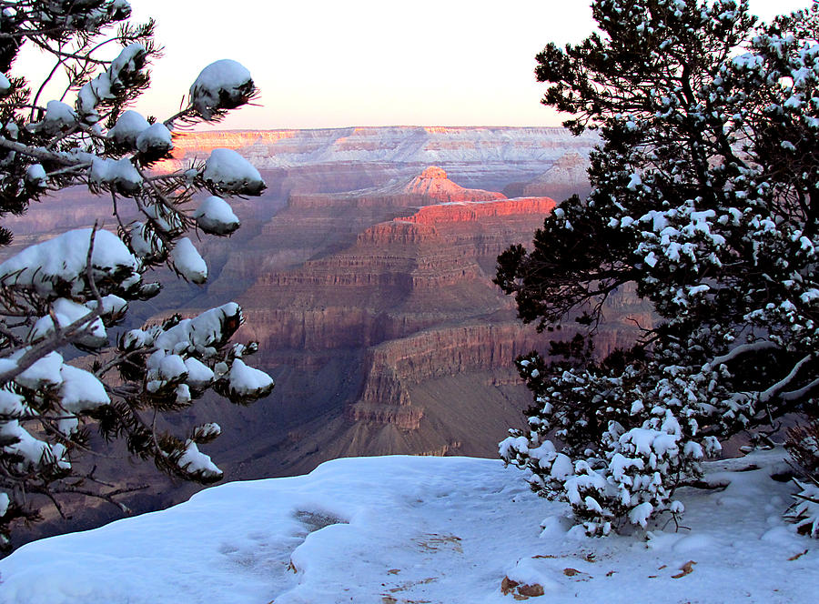 Grand Canyon National Park Photograph - Grand Canyon in Winter by Judy Wanamaker