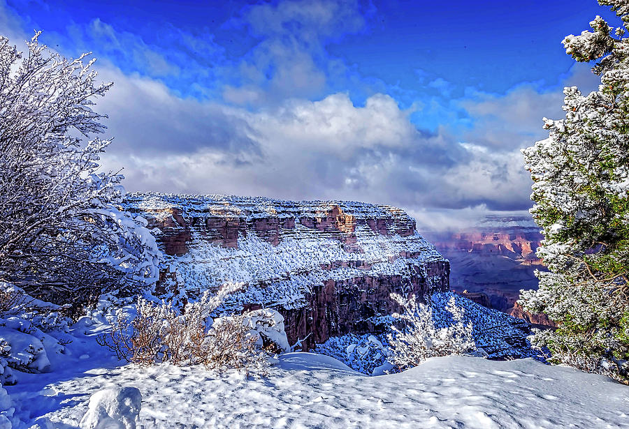 Grand Canyon in Winter Photograph by Louloua Asgaraly | Fine Art America