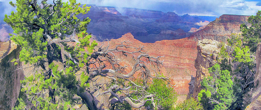 Grand Canyon IX Photograph by C H Apperson