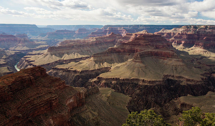 Grand Canyon Photograph by Jennifer Ancker
