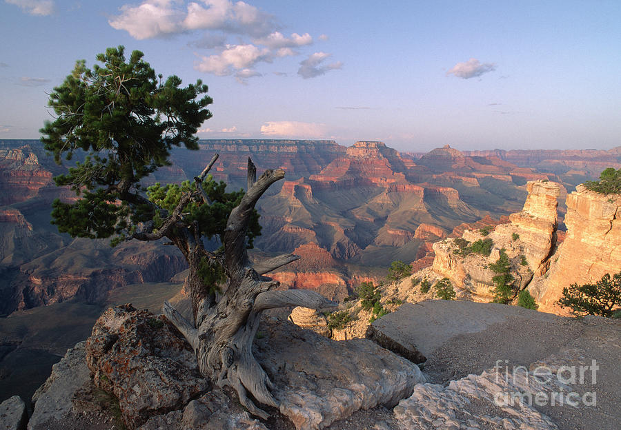 Grand Canyon, late afternoon Photograph by Kevin Shields