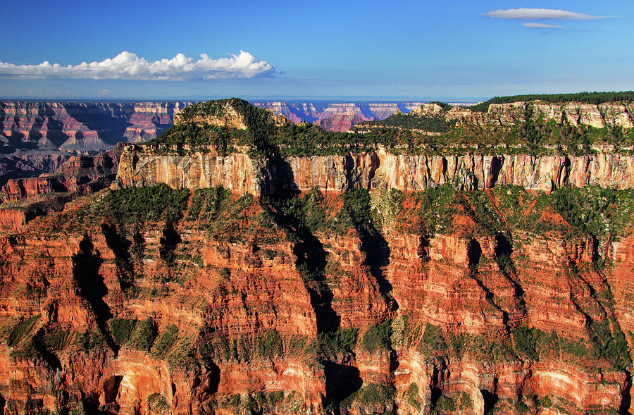 Grand Canyon Layers Photograph by Carolyn Derstine