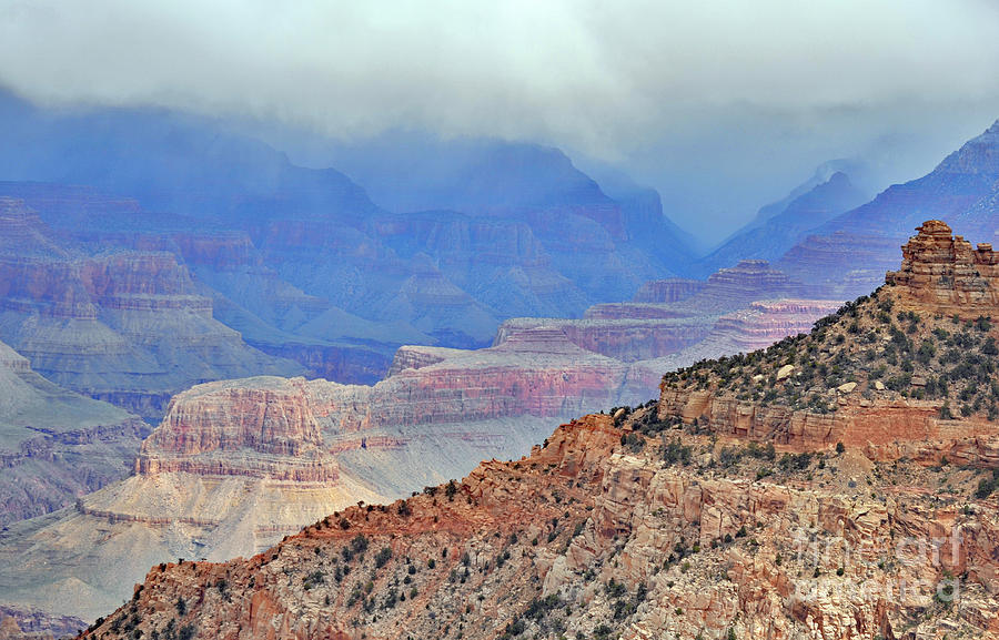 Grand Canyon Levels Photograph by Debby Pueschel