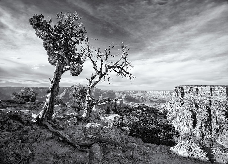 Grand Canyon National Park Photograph - Grand Canyon - Monochrome by Darren White