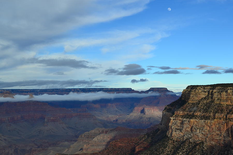 Grand Canyon Moonrise Photograph by Colleen Phaedra
