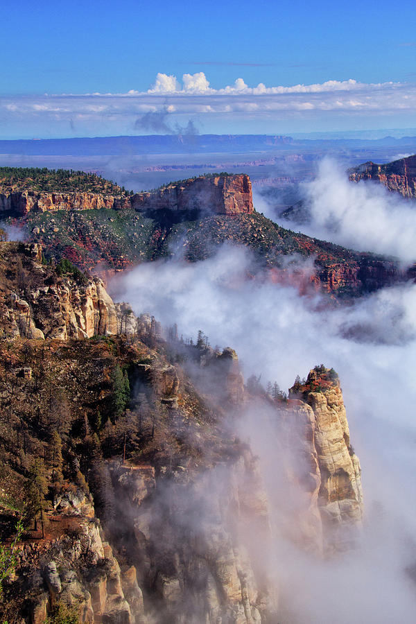Grand Canyon Morning Photograph by Carolyn Derstine