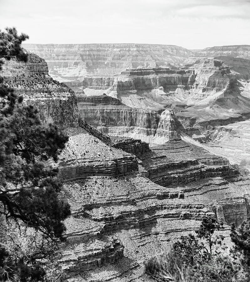 Grand Canyon National Park 9 Photograph by Chuck Kuhn