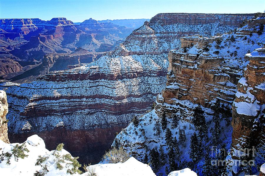 Grand Canyon National Park In Winter Photograph by Jenny Revitz Soper