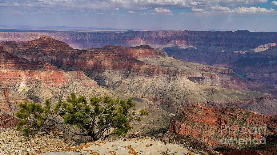 Grand Canyon National Park Photograph by Jerry Fornarotto
