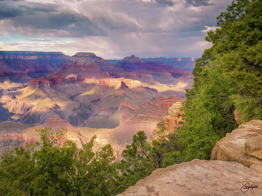 Grand Canyon National Park South Rim Photograph by Jennifer Stackpole ...