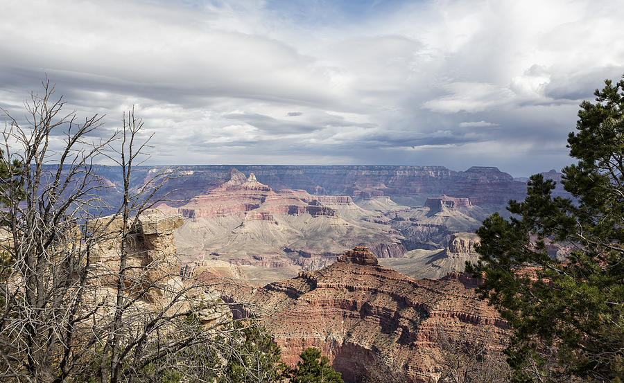 Grand Canyon, No. 1 Photograph by Belinda Greb