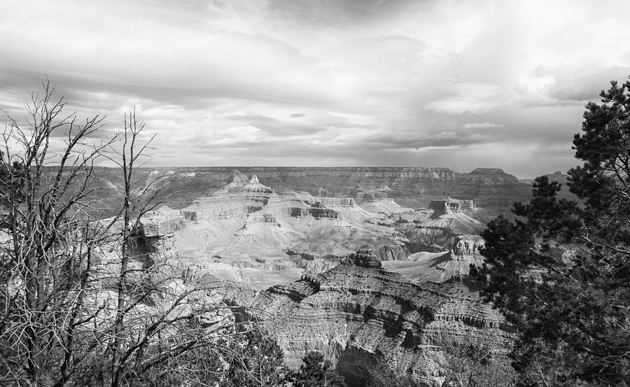 Grand Canyon, No. 1 bw Photograph by Belinda Greb
