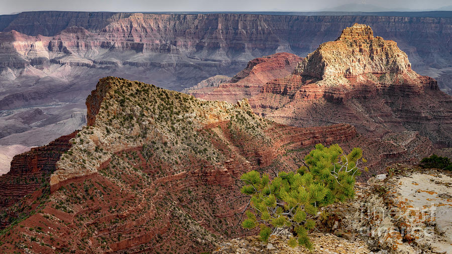 Grand Canyon No 3 Photograph by Jerry Fornarotto
