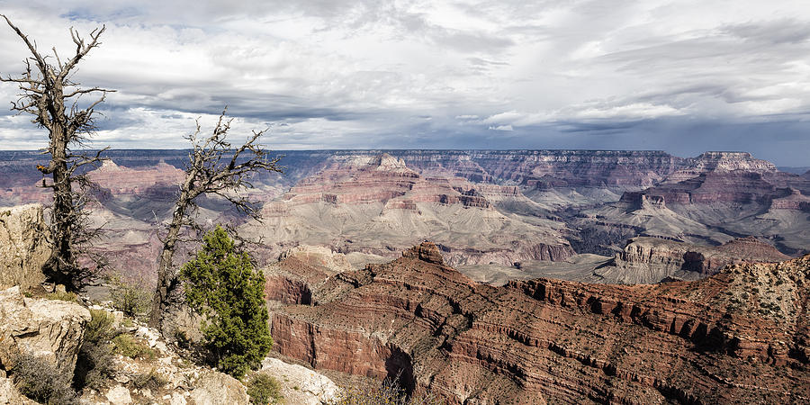 Grand Canyon No. 4 Pano Photograph by Belinda Greb