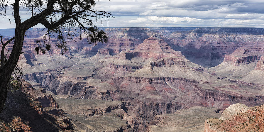 Grand Canyon No. 5 Pano Photograph by Belinda Greb