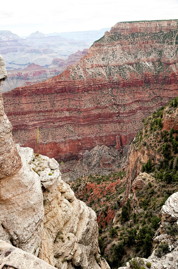 Prehistoric Photograph - Grand Canyon No 5 by Phyllis Taylor
