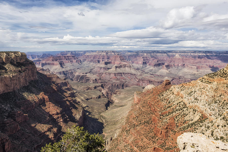 Grand Canyon No. 6 Photograph by Belinda Greb