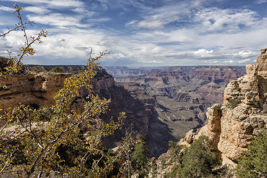Grand Canyon No. 7  Photograph by Belinda Greb
