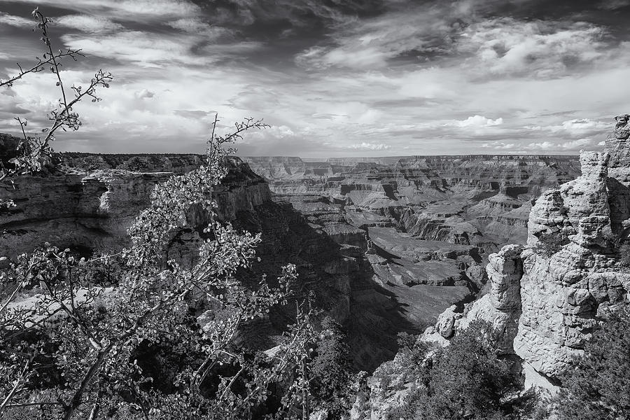 Grand Canyon No. 7 bw Photograph by Belinda Greb