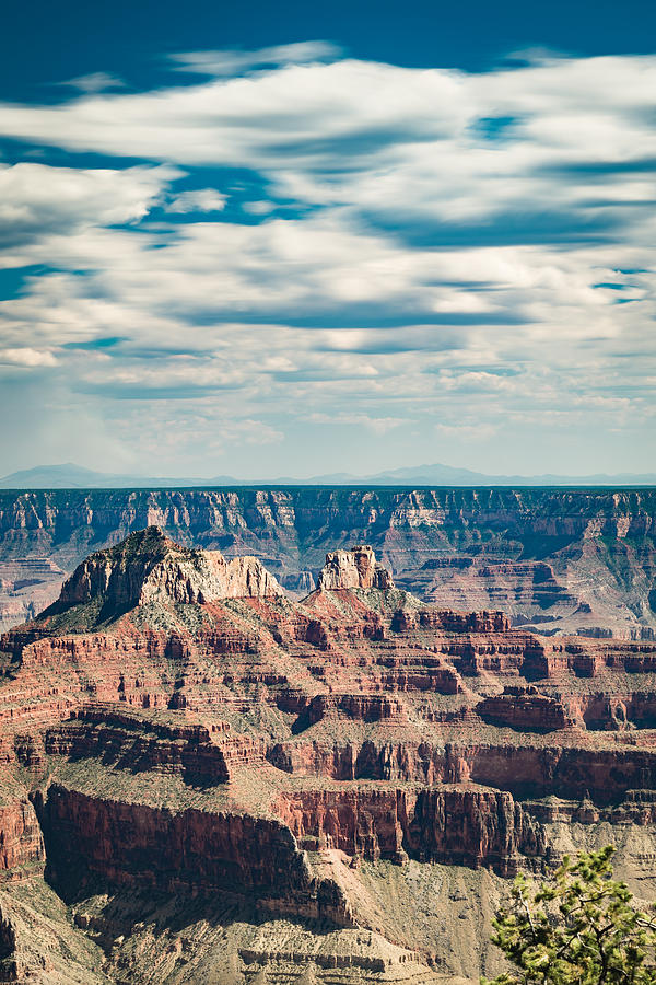 Grand Canyon North Rim 1 Photograph by Mati Krimerman