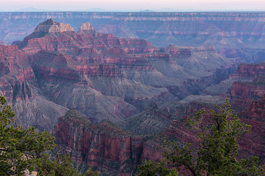 Grand Canyon - North Rim Photograph