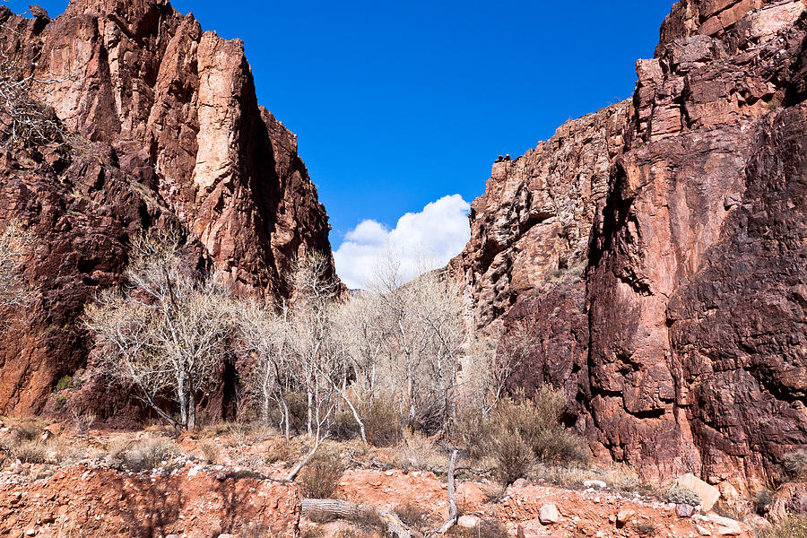 Grand Canyon- North rim, Clear Creek Trail Photograph by Arlene Waller ...