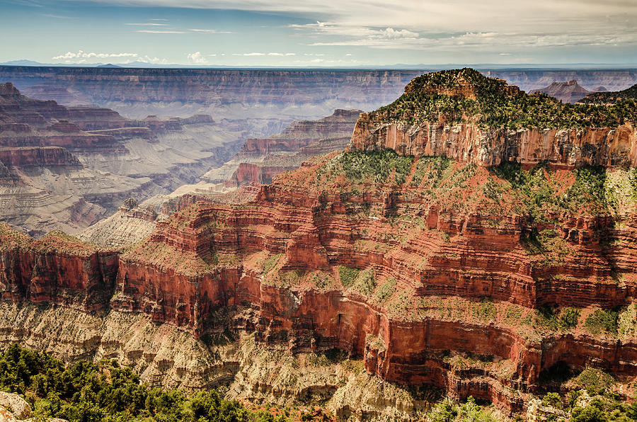 Grand Canyon North Rim Photograph by Debra Martz
