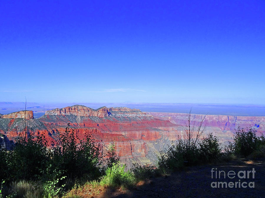 Grand Canyon North Rim Photograph by Eunice Warfel