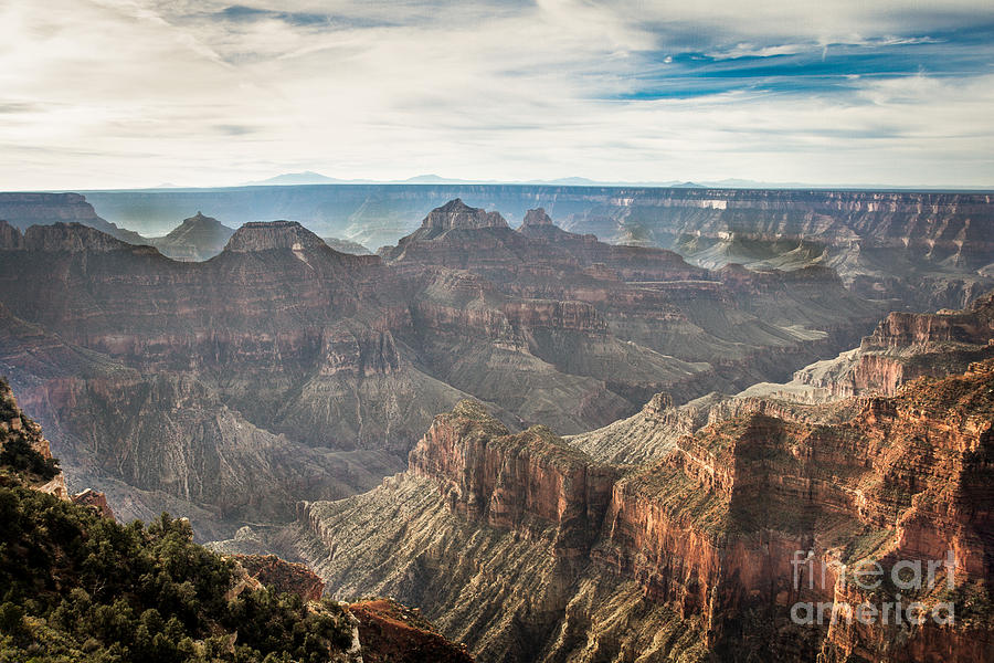 Grand Canyon North Rim Photograph by Robert Bales