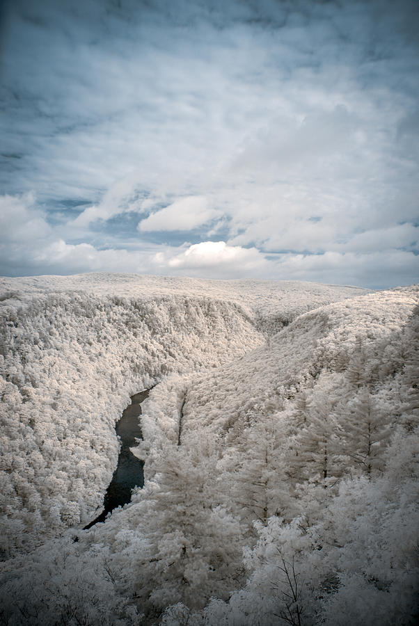 Grand Canyon of PA in Infrared Photograph by Guy Whiteley