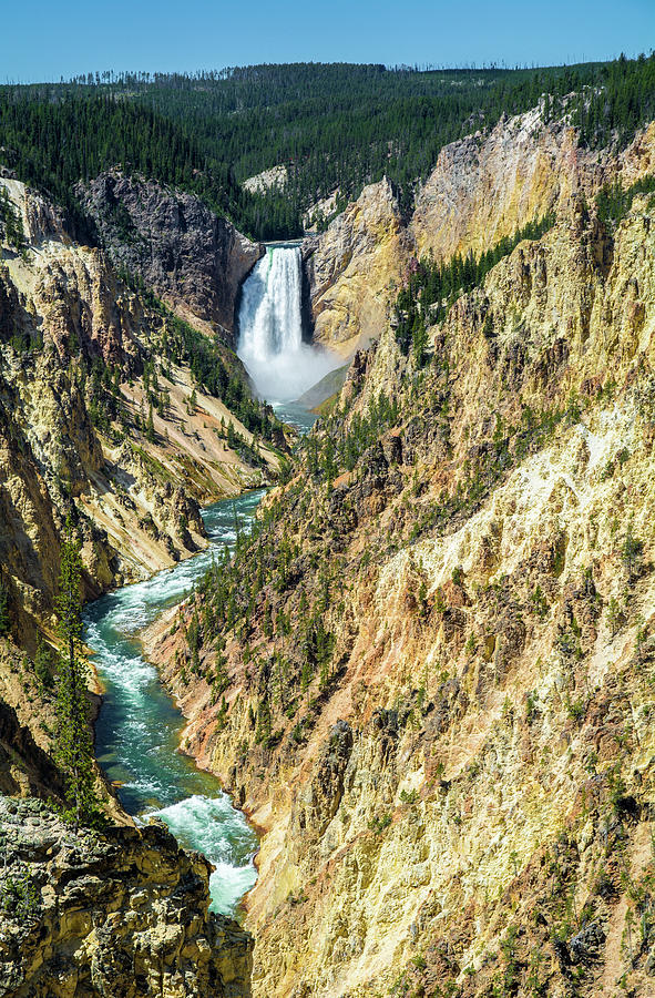 Grand Canyon of the Yellowstone #1 Photograph by Janis Connell