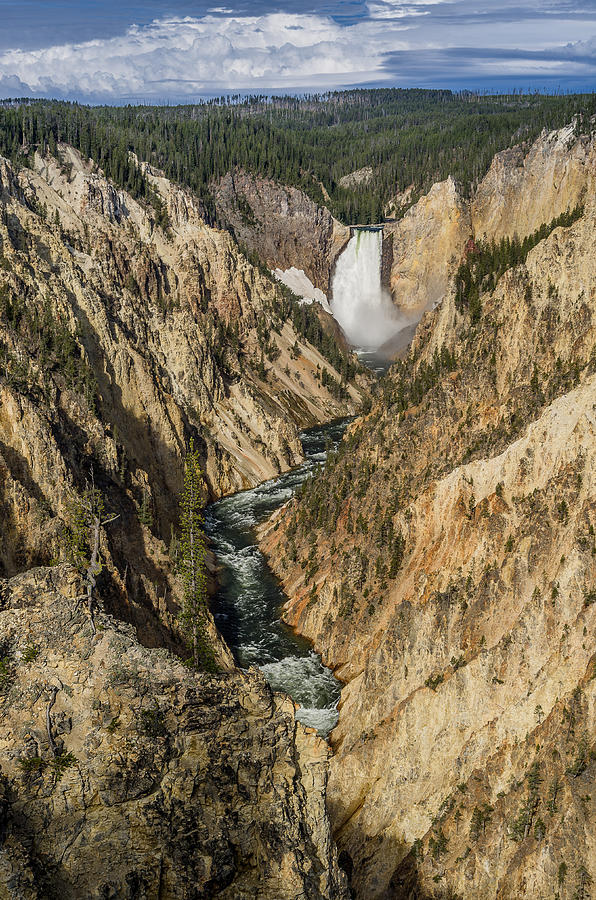 Grand Canyon of the Yellowstone and Yellowstone Falls Photograph by Greg Nyquist