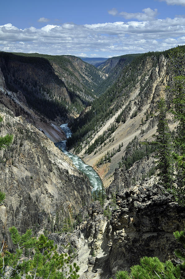Grand Canyon of the Yellowstone Photograph by Bruce Gourley