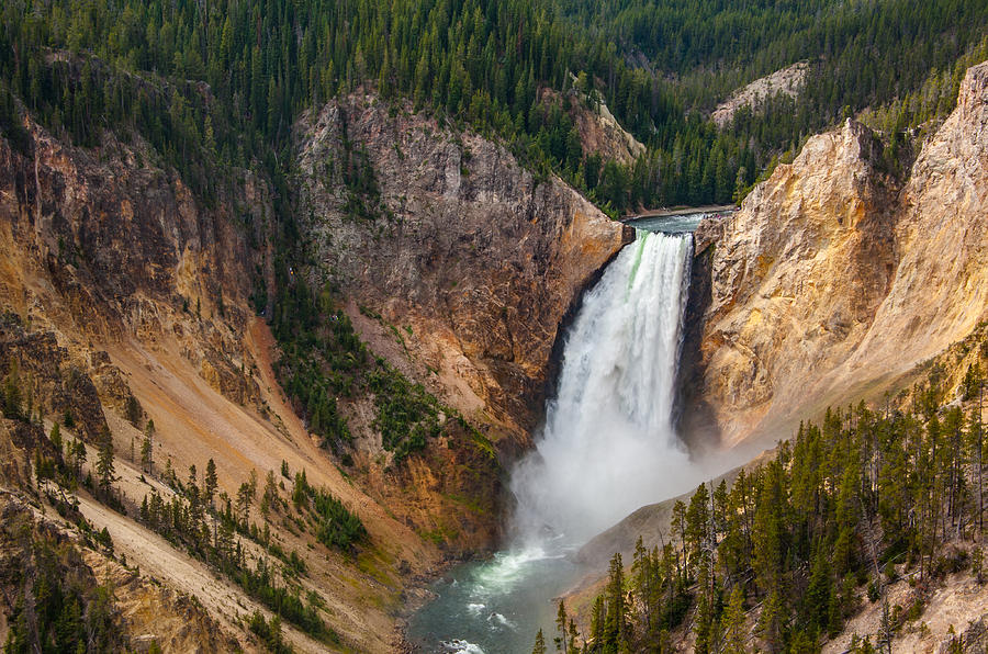 Grand Canyon of the Yellowstone Photograph by Dorota Niezgoda - Fine ...