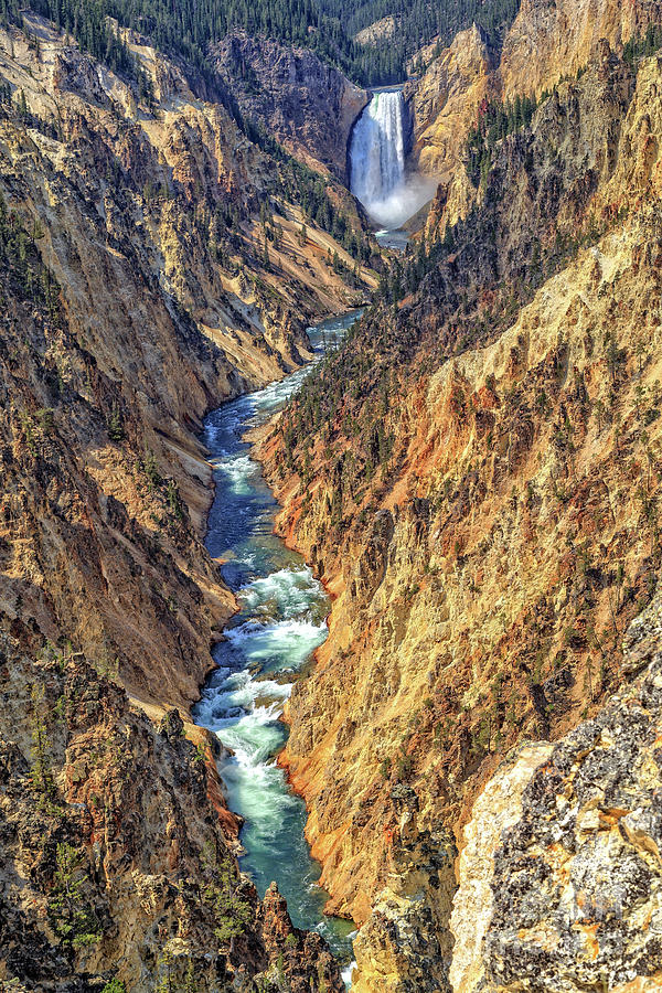 Grand Canyon of the Yellowstone Photograph by Edward Fielding
