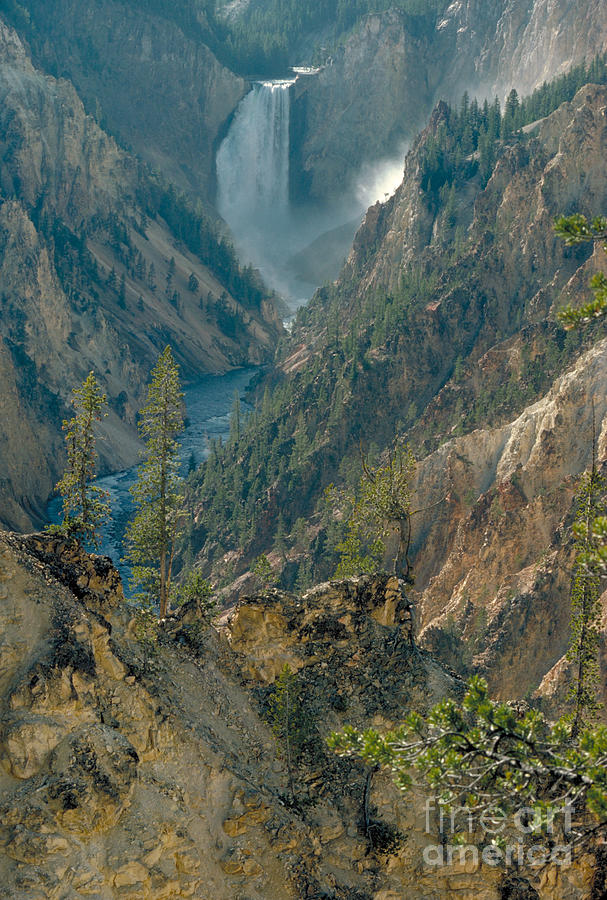 Grand Canyon Of The Yellowstone Photograph by Farrell Grehan Grand Canyon Of The Yellowstone Photograph by Farrell Grehan