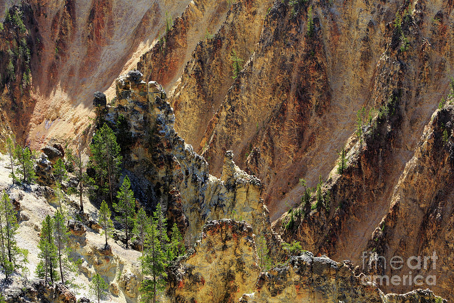 Grand Canyon of the Yellowstone from North Rim Drive Photograph by Louise Heusinkveld